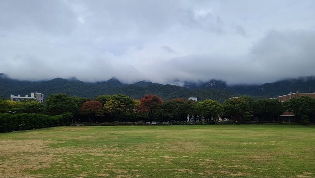 IMAGE 2025-11-03 01:07:48.jpg