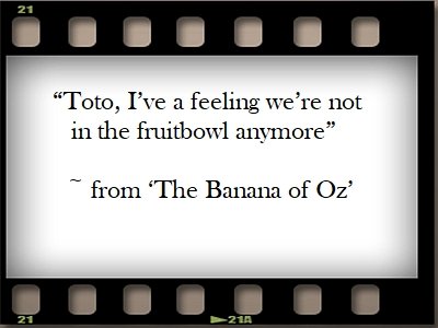 Toto, Banana of Oz.jpg