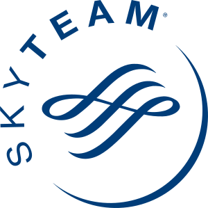 skyteam_logo.png