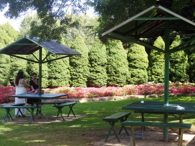 DSC02282.JPG