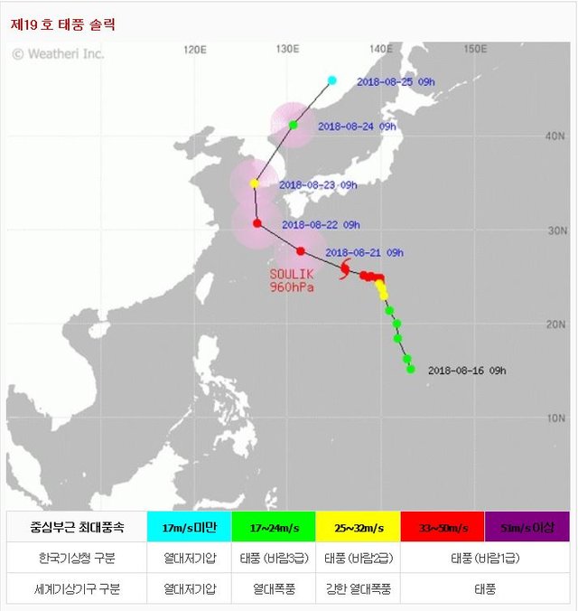 8_20_19_솔릭2.JPG