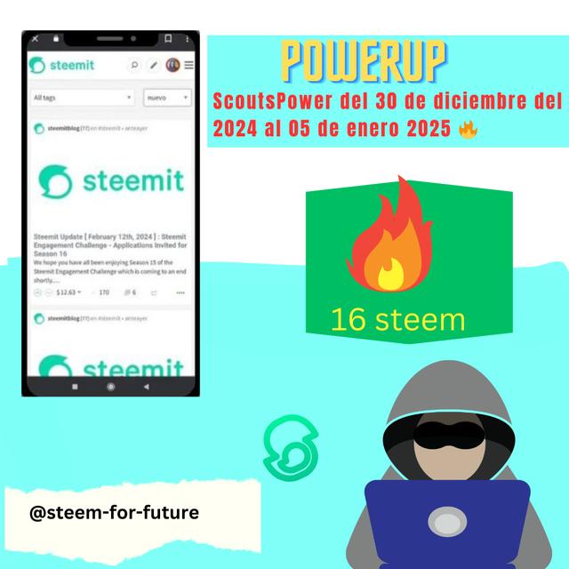 @steem-for-future_20241230_091400_0000.png