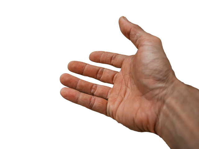 1000032826.png