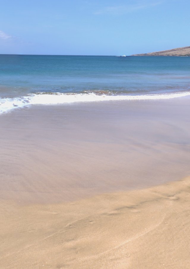 Beach Photoshoot 12.jpg