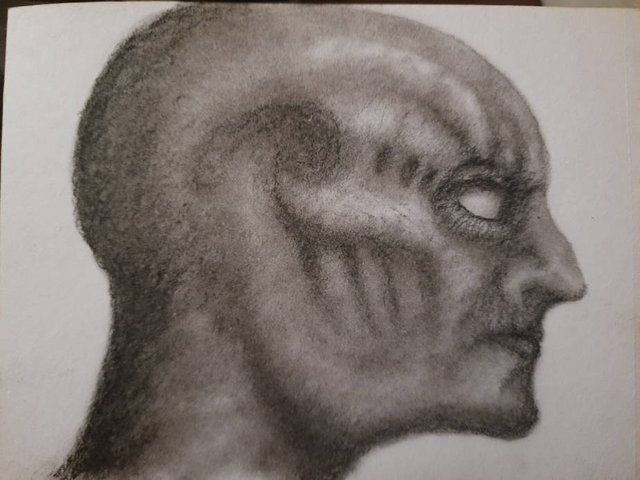 20250607_112541.jpg