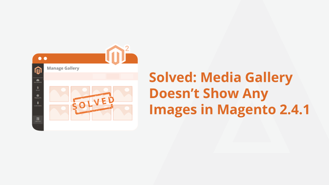 3Solved-Media-Gallery-Doesn’t-Show-Any-Images-in-Magento-2.4.1-Social-Share.png