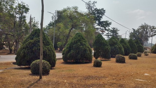 20190201_105646_HDR.jpg