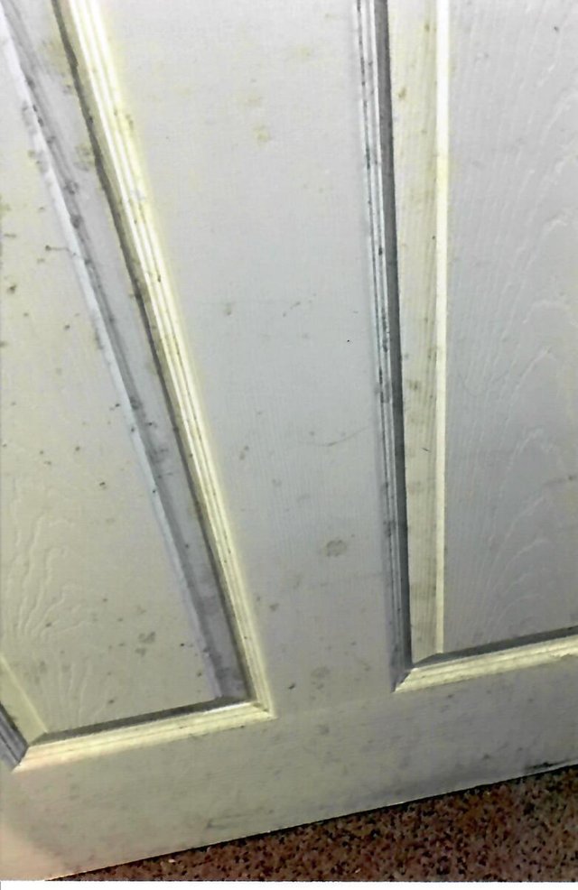 P51 Bedroom Door.jpg