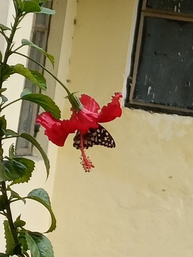 IMG20250624154716.jpg