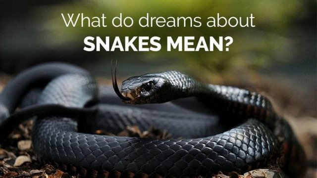 dreams-about-snakes-mean-678x381.jpg