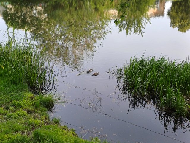 20250516_062349.jpg
