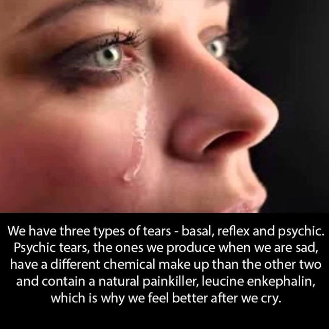 Facts About Tears