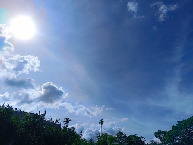 1000095881.jpg