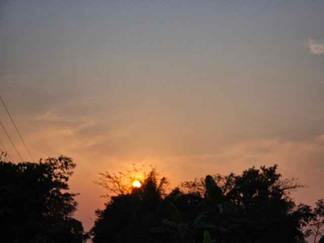 20250225_172246.jpg