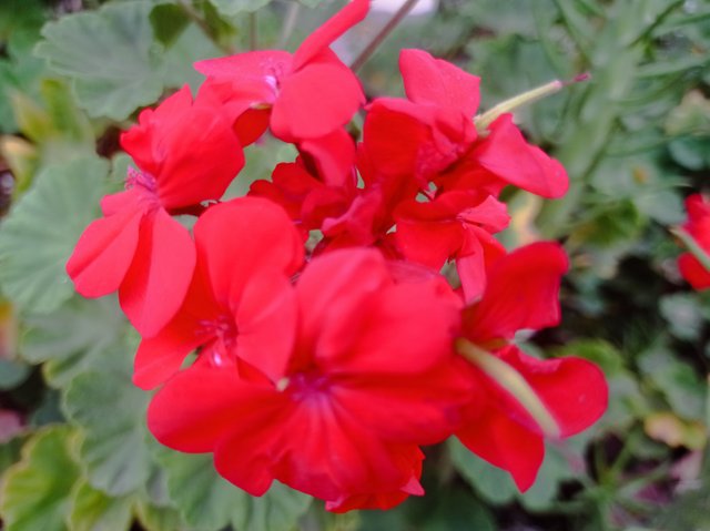 IMG_20250507_081544.jpg