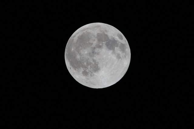 IMG_1654.JPG