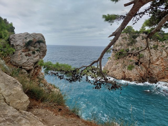 se (8).jpg