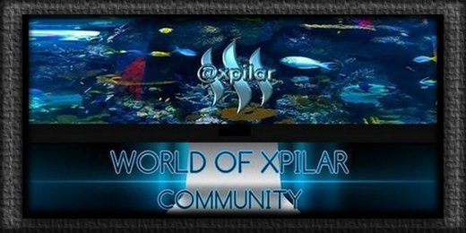 logo xpilar.jpg