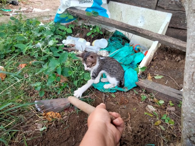 IMG20250328081519.jpg