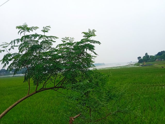 IMG_20250803_172324.jpg