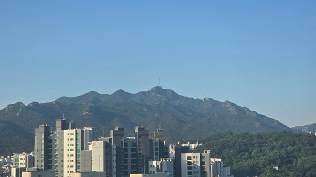 1000126425.jpg