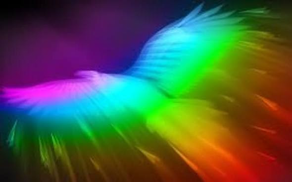 Rainbow-Bird.png