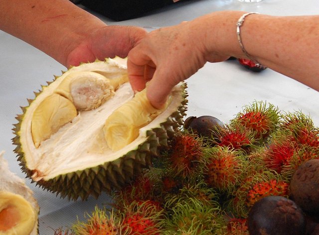 persona-comiendo-durian.jpg