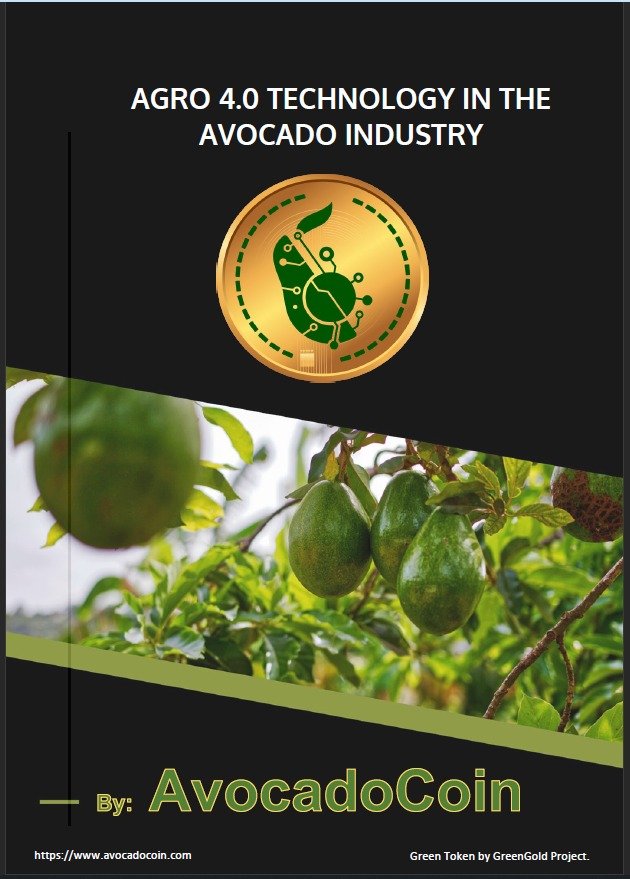 Agro4.0TechnologyInTheAvocadoIndustry.jpeg