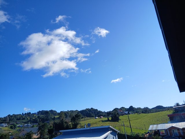 20250720_122815.jpg