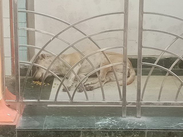 IMG20250330135027.jpg
