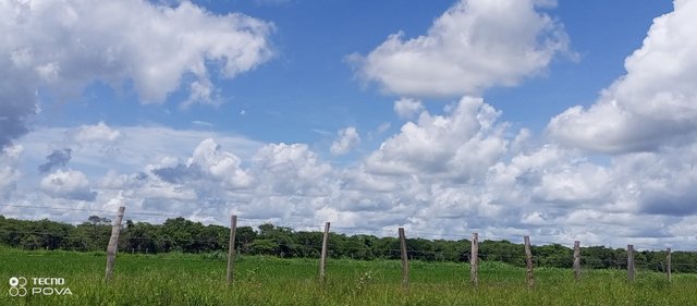 IMG_20250710_131035_023.jpg