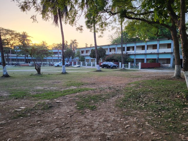 20250329_180128.jpg