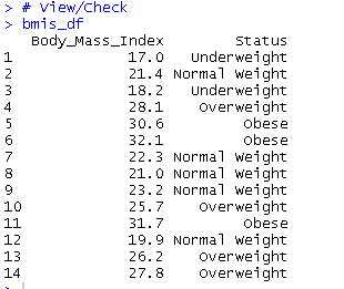 bmi_output.PNG