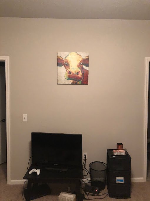 cow painting.jpg