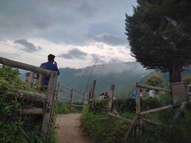 IMG_20250612_154246.jpg
