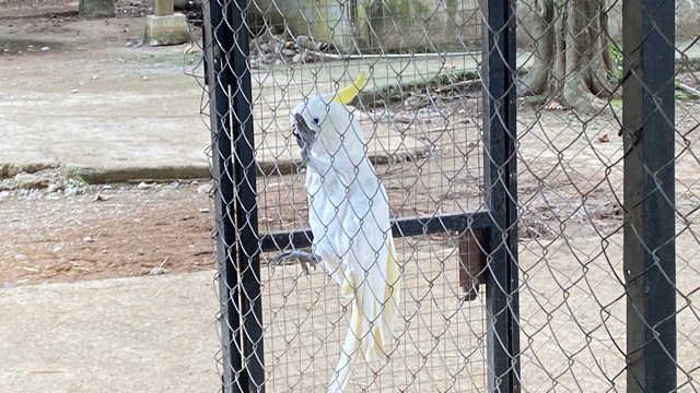 IMG_1923.jpeg