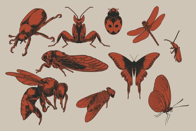 big-set-of-flying-insects-vector.jpg