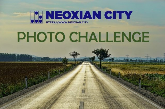 NEO Photo Challenge.jpg