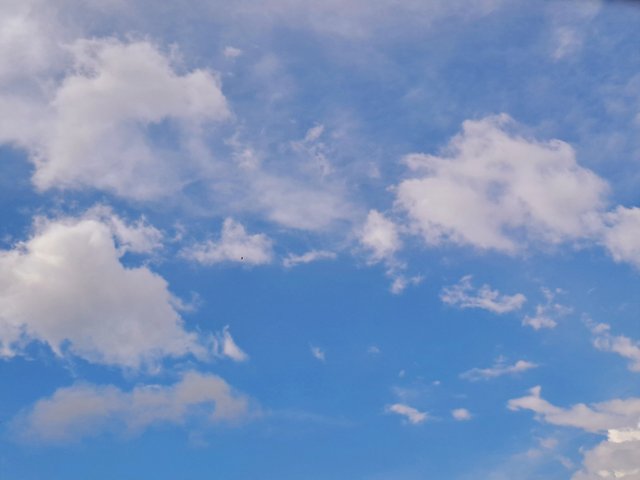 20250713_154727.jpg