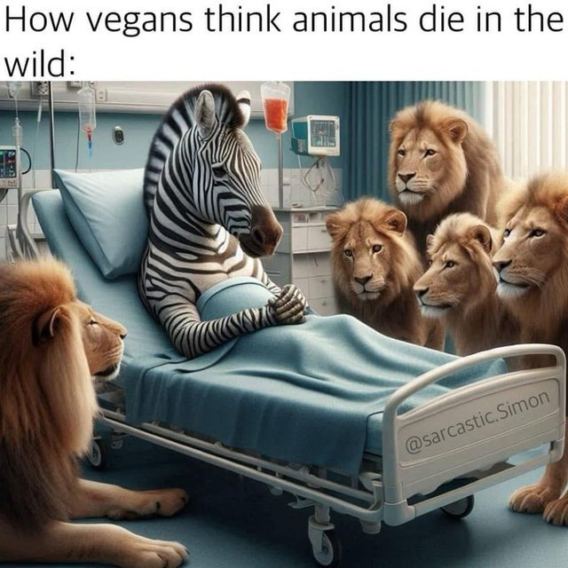 GuZ3swFWoAAw4CF.jpg