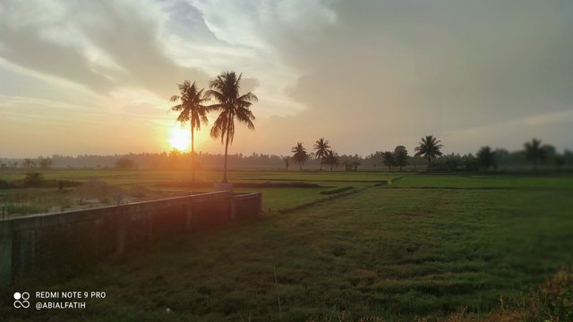 IMG_20250801_064041.jpg