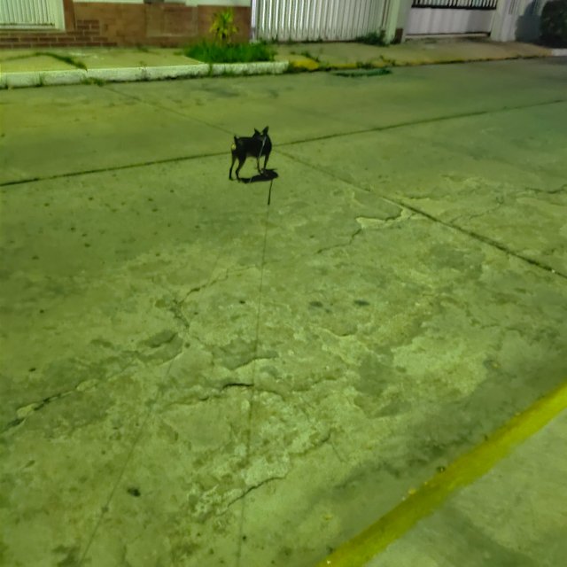 IMG20201021183143.jpg