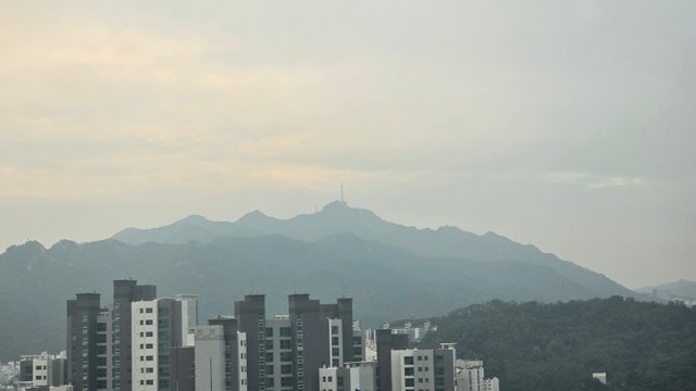 1000133623.jpg