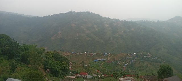 20250612_131236.jpg