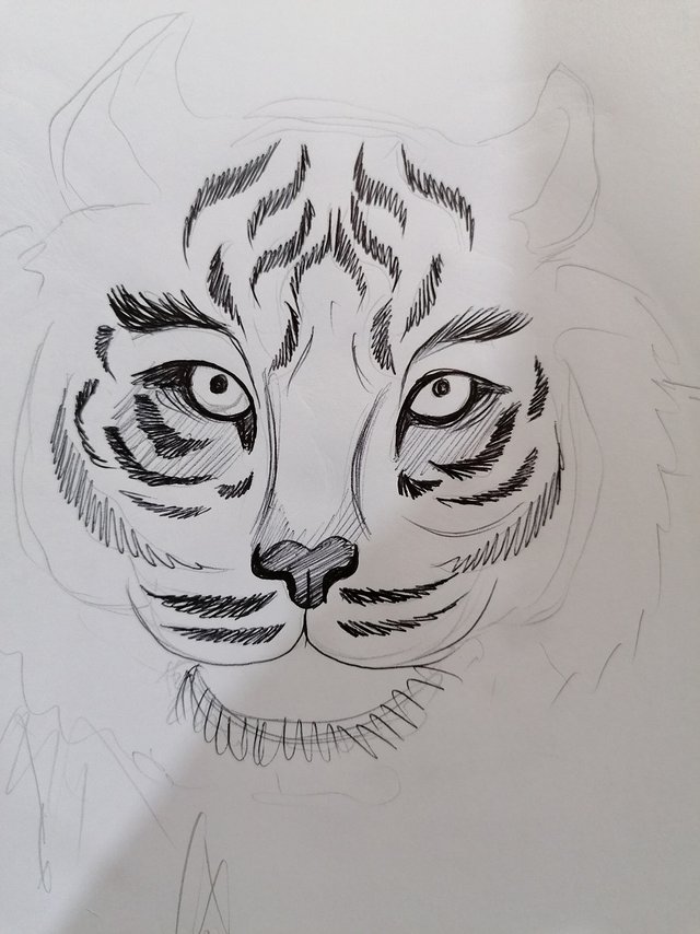 tiger pen (8).jpg