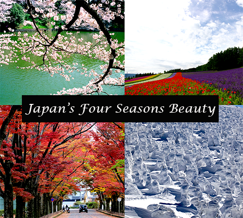 japan_four_seasons.png