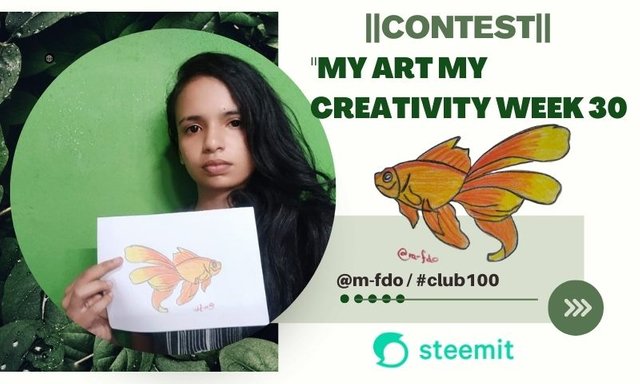 Contest (1).jpg