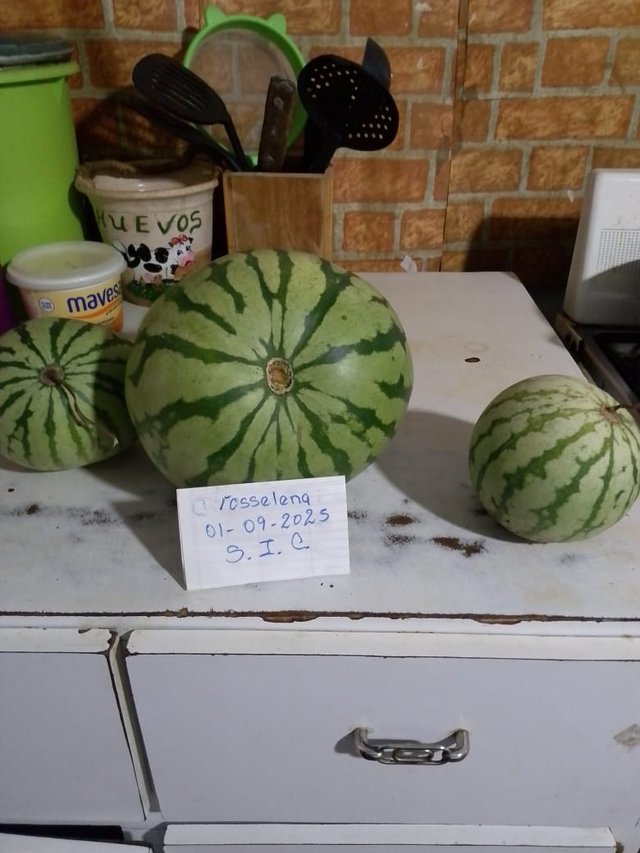1000099085.jpg