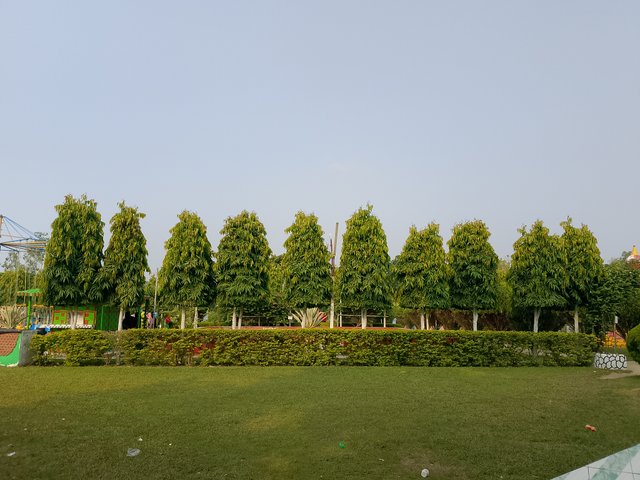 1000041027.jpg