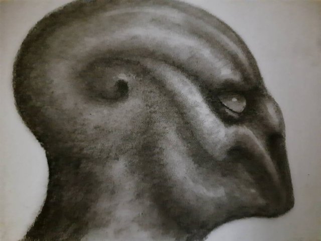 20250930_110245.jpg